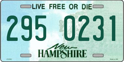 NH license plate 2950231