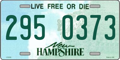 NH license plate 2950373
