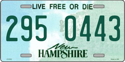 NH license plate 2950443