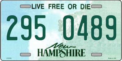 NH license plate 2950489