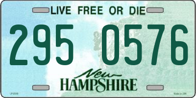 NH license plate 2950576
