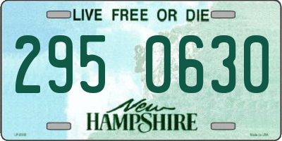 NH license plate 2950630