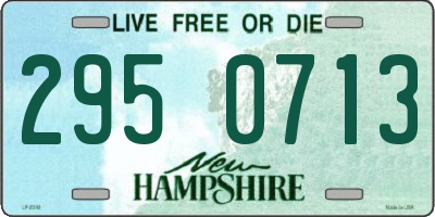 NH license plate 2950713