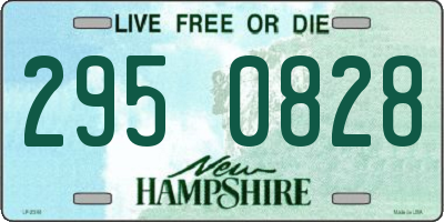 NH license plate 2950828