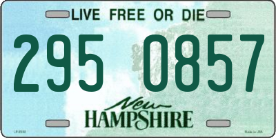 NH license plate 2950857