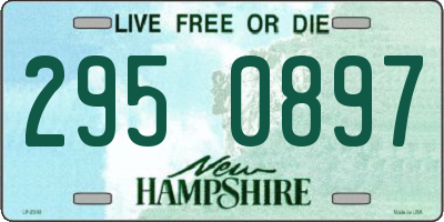 NH license plate 2950897