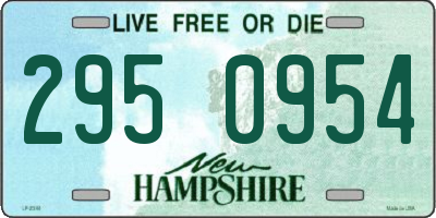 NH license plate 2950954