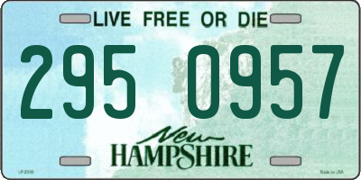 NH license plate 2950957