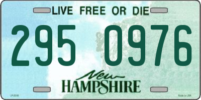 NH license plate 2950976