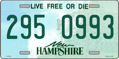 NH license plate 2950993