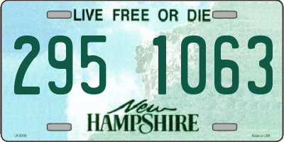 NH license plate 2951063