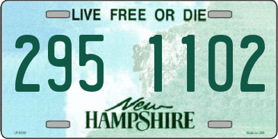 NH license plate 2951102