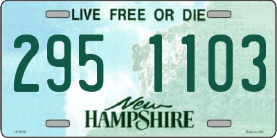 NH license plate 2951103