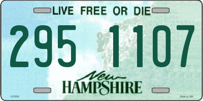 NH license plate 2951107