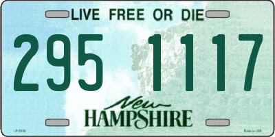 NH license plate 2951117