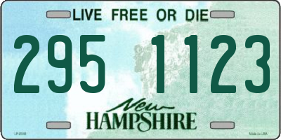 NH license plate 2951123