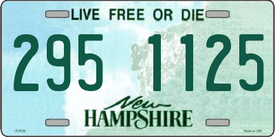 NH license plate 2951125