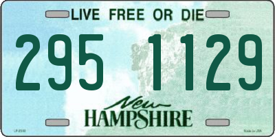 NH license plate 2951129