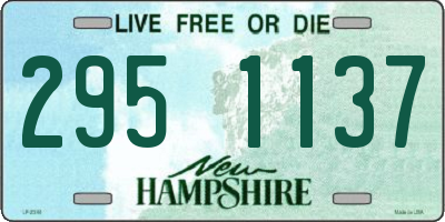 NH license plate 2951137