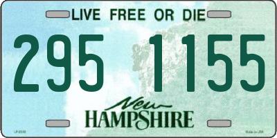 NH license plate 2951155