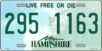 NH license plate 2951163