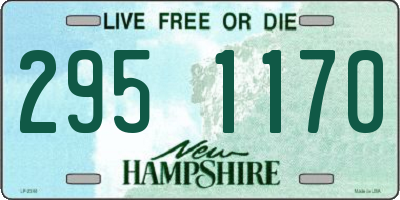 NH license plate 2951170