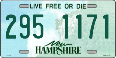 NH license plate 2951171