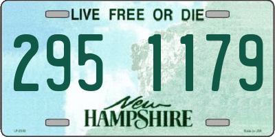 NH license plate 2951179