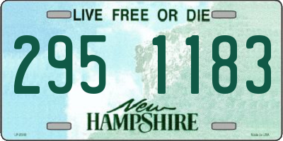 NH license plate 2951183