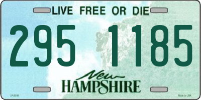 NH license plate 2951185