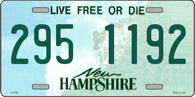 NH license plate 2951192