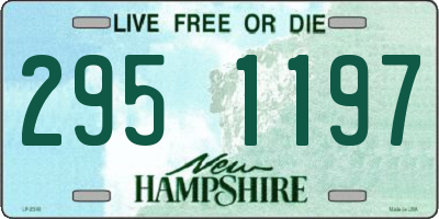 NH license plate 2951197