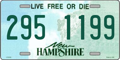 NH license plate 2951199