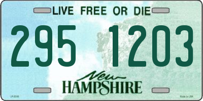 NH license plate 2951203