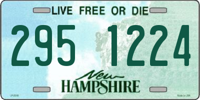 NH license plate 2951224