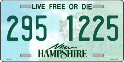 NH license plate 2951225
