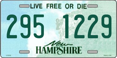 NH license plate 2951229
