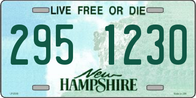 NH license plate 2951230