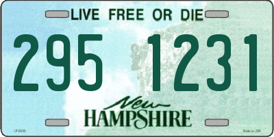 NH license plate 2951231