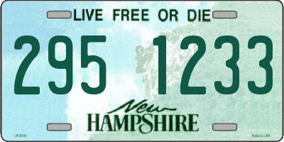 NH license plate 2951233