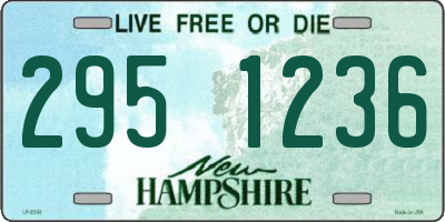NH license plate 2951236