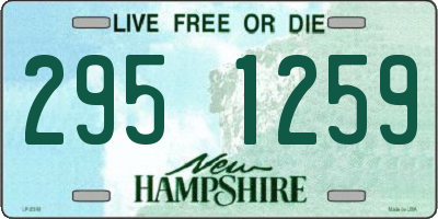 NH license plate 2951259