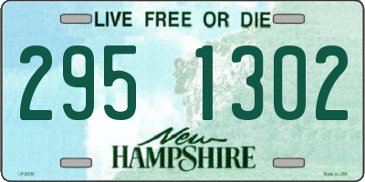 NH license plate 2951302