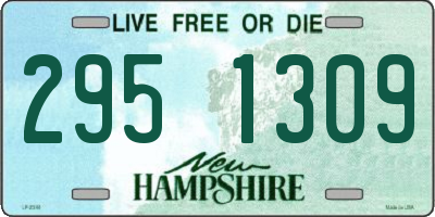 NH license plate 2951309