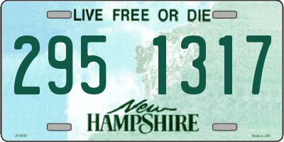NH license plate 2951317