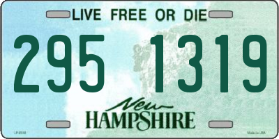 NH license plate 2951319