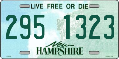 NH license plate 2951323