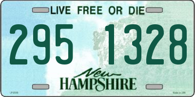 NH license plate 2951328