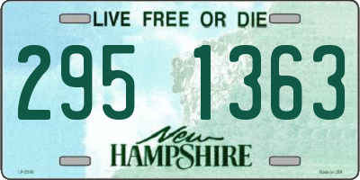 NH license plate 2951363