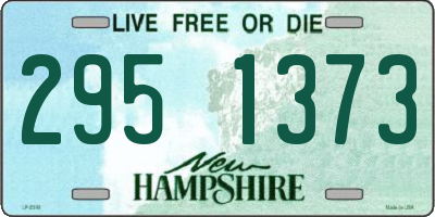 NH license plate 2951373